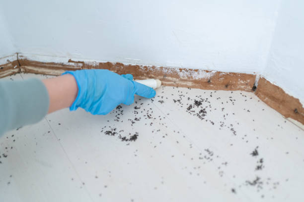 Best Exterminator Services  in Laurel Bay, SC